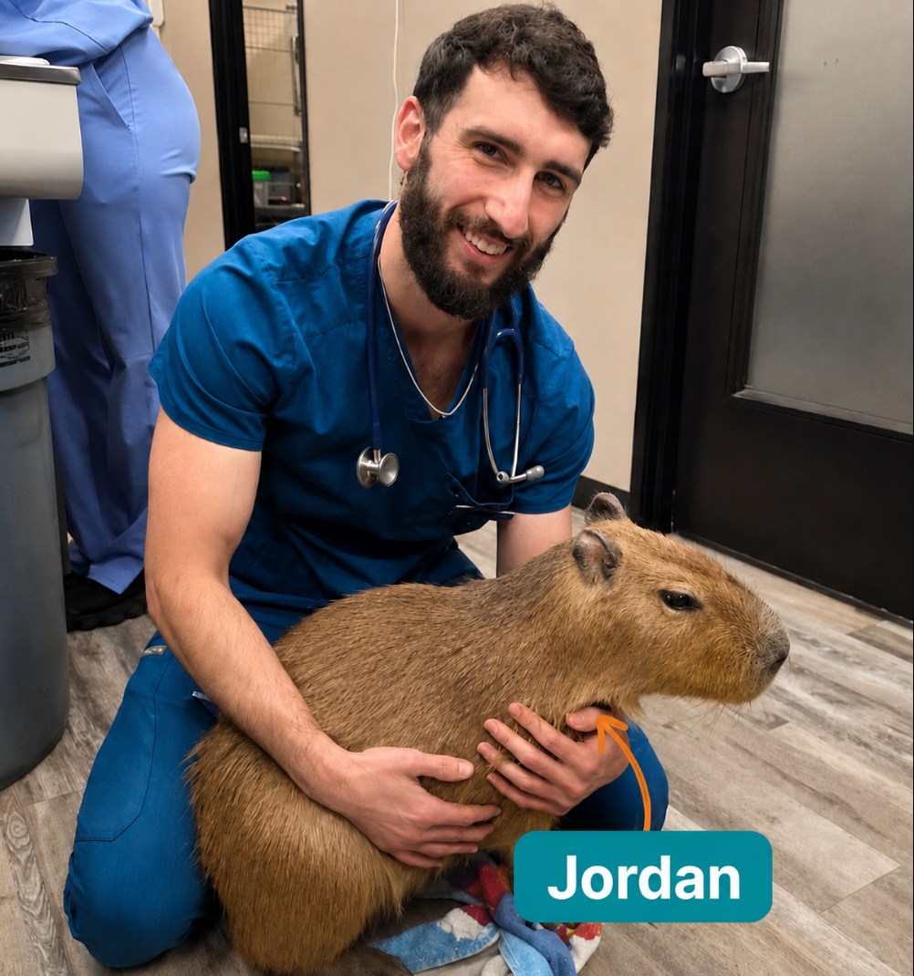Jordan, the capybara selected for the fictional Neuralink study